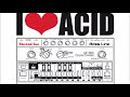 I Love Acid Techno mix (march 2019)