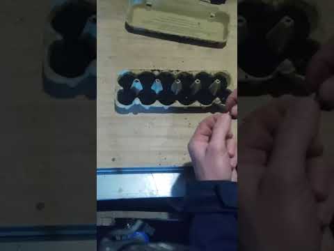 Vidéo astuce jardinage : recycler des boîtes d'oeufs