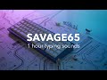 Savage65 1 Hour Keyboard Typing Sounds ASMR (No talking, No music, No mid-roll ads)