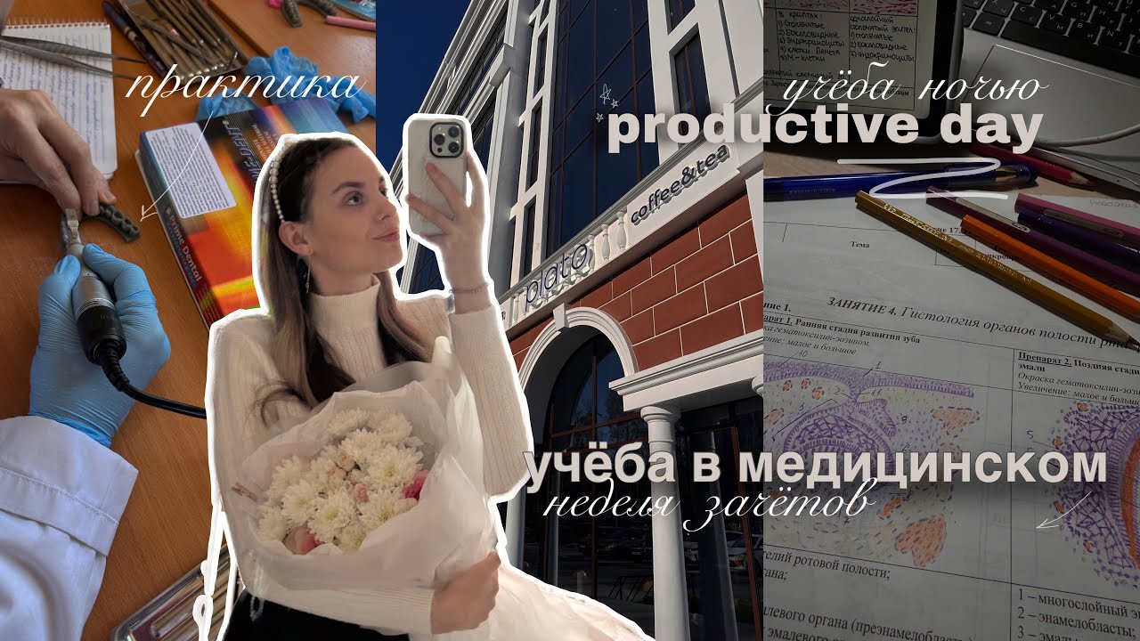 учёба на ВТОРОМ курсе медицинского, зачёт по гистологии🥼