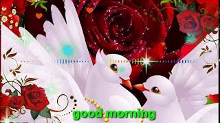 kabutar ka love story video WhatsApp 🌺 Hindi gana good morning 🌅