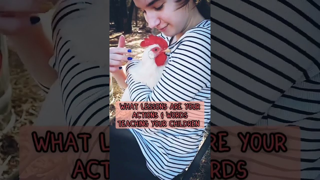 Girl Calms Spastic Chicken 