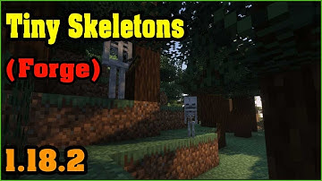 Tiny Skeletons [Forge] Mod 1.18.2 & How To Install for Minecraft