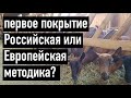 РОССИЙСКИЙ И ЕВРОПЕЙСКИЙ ОПЫТ ПЕРВОГО ПОКРЫТИЯ КОЗОЧЕК. Возраст и вес первого покрытия козочек.