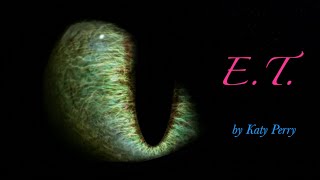 HTTYD || E.T || The Nightfury || Music video