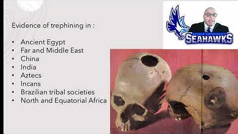 PSY502 History and Systems Lecture 1