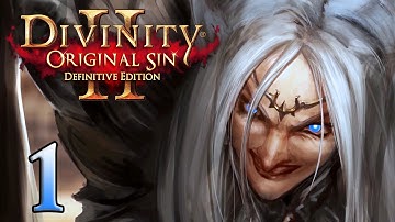 Divinity Original Sin 2 - Part 1 - (Lonewolf - Multiplayer with Aavak)