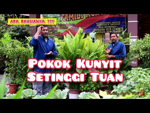 Video: Resipi Menarik Dan Lazat Dari Tukang Kebun Yang Berpengalaman. Lyubov Dmitrievna Bobrovskaya