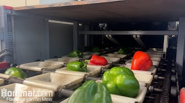 Aweta - Grading machine by weight/size/color - GM 3 - 10 + 1