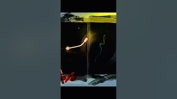 A Farewell Never Wanted