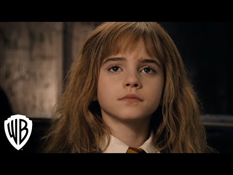Warner Bros. Entertainment Life TV Commercial Harry Potter Magical Movie Mode Wingardium Leviosa Warner Bros. Entertainment