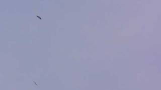 ラジコングライダー~1分07秒の衝撃~ ラジコングライダー~1分07秒の衝撃~