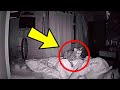شك هذا الرجل في تصرفات قطه .. فوضع كاميرا مراقبة .. و عندما فتح الفيديو شاهد ماذا وجد.......!!!!