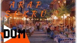 Arap Şükrü - Bir Şişe Şarap Resimi