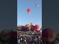 Hot air balloons take to sky for New Mexico fiesta 🎈 #balloon #shorts