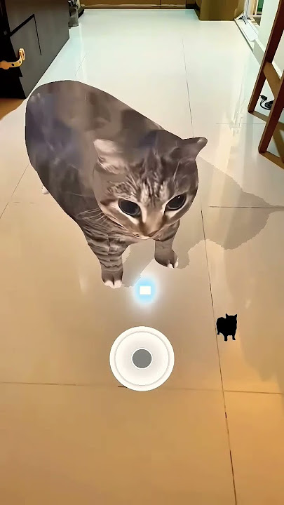Oyyya