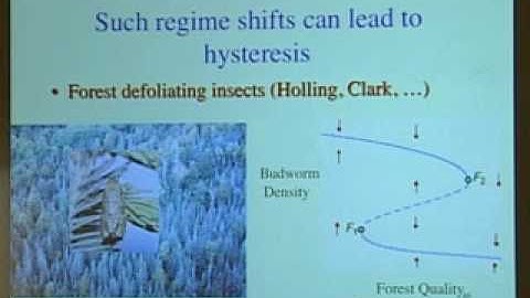 Ecosystems and Socioeconomic Systems as Complex Adaptive Systems