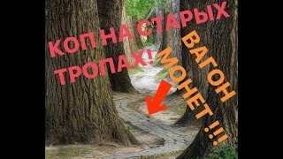 Много монет с металлоискателем на старинной тропинке