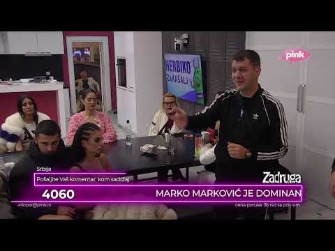 Zadruga 6 -
