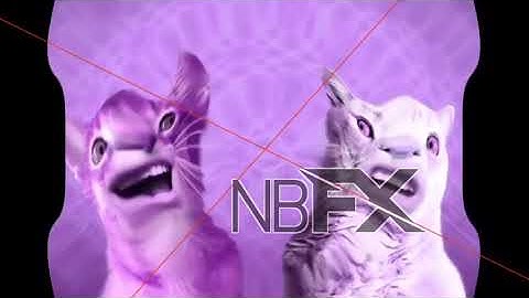 Preview 2 Numa Cat Center Effects