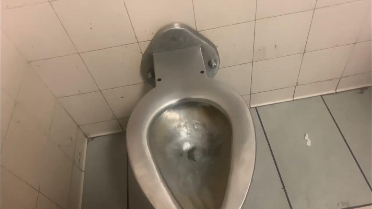Another seatless metal toilet YouTube