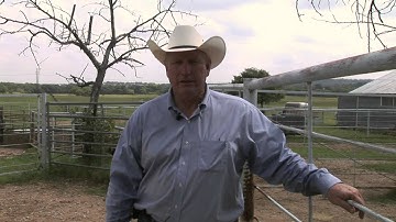 Ron Gill - BQA  Best management practices for birdshot and buckshot