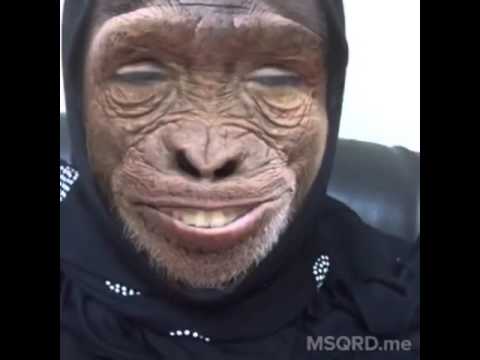 صباح الخير مدير القروب