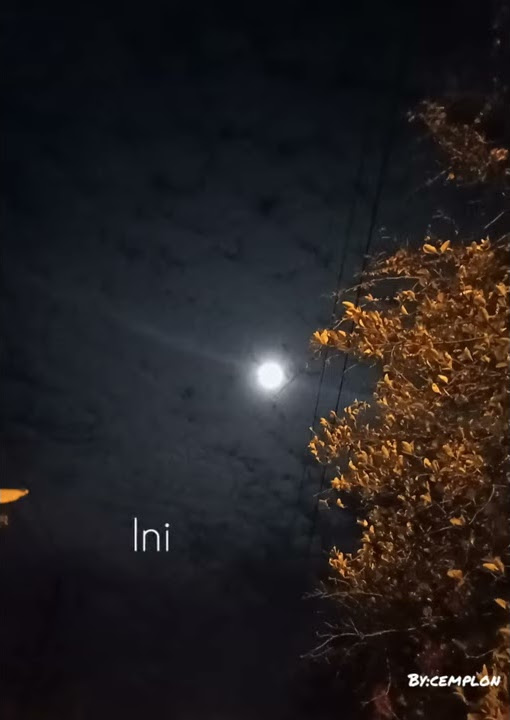 Story wa malam yang sepi