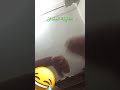 الاسلام ديننا العربية لغتنا الجزائر وطننا الاسلام ديننا العربية لغتنا الجزائر وطننا