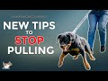 Stop your dog pulling on the lead 