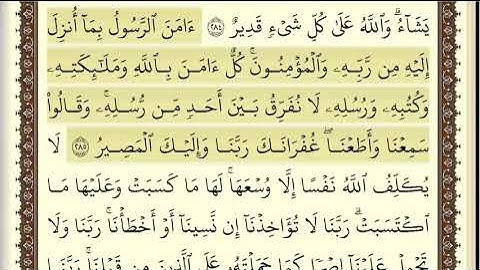 امن الرسول اواخر سورة البقرة مكررة سعد الغامدي