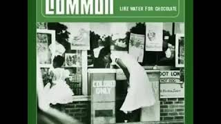 Common - Funky for you - interlude