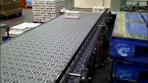 Activated Roller Belt Conveyor