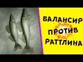 Когда размер приманки имеет значение! Балансир Rapala против раттлина!