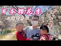 广岛景点安野车站带大家欣赏樱花，看看日本人都是如何赏樱花的吧【打工夫妻在日本】