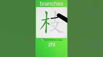 How to Write 枝(branches) in Chinese? App Name :《ViewChinese》&《My HSK》