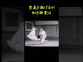 "名人"三船久蔵空気投げ! 掛ず飛ばす"隅落"の神技!!! #範馬刃牙 #柔道 #Judo #shorts #fight #格闘技