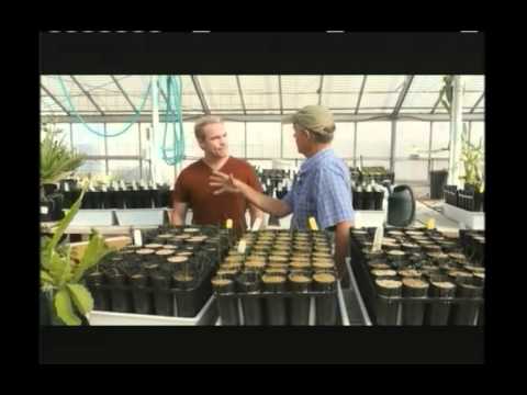Curiosity Quest Water Conservation