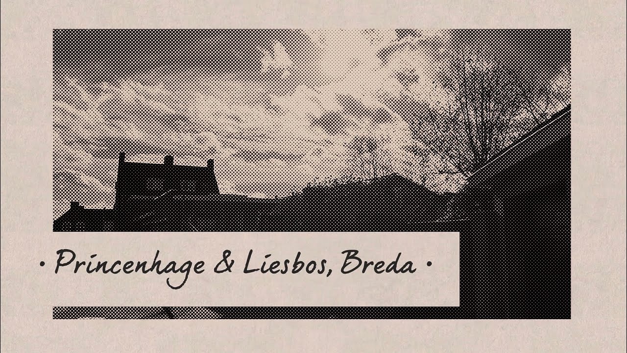 Kleine wandeling door Princenhage en het Liesbos in Breda, Noord-Brabant, Nederland (27/1/‘25) 🥾🌤️🌳