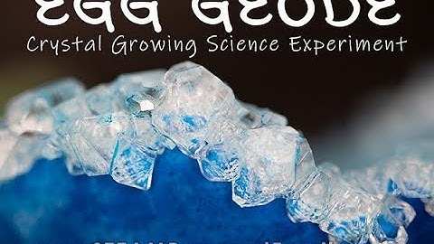 Growing Crystals Egg Geode Science Experiment