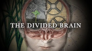Bullfrog Films presents...The Divided Brain