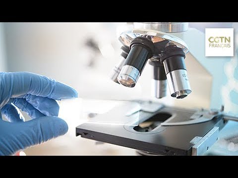 Des scientifiques australiens ont développé un coronavirus élevé en laboratoire Des scientifiques australiens ont développé un coronavirus élevé en laboratoire