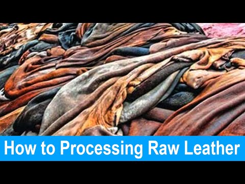 Leather Tanning Process | How to Processing Raw Leather | Leather Making Process | Rocky