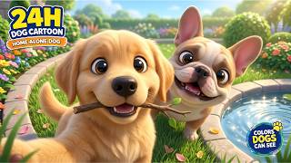 Cartoon For Dogs: Happy Cartoon Moments for Dogs 🐶🎉 | Gentle Colors & Music