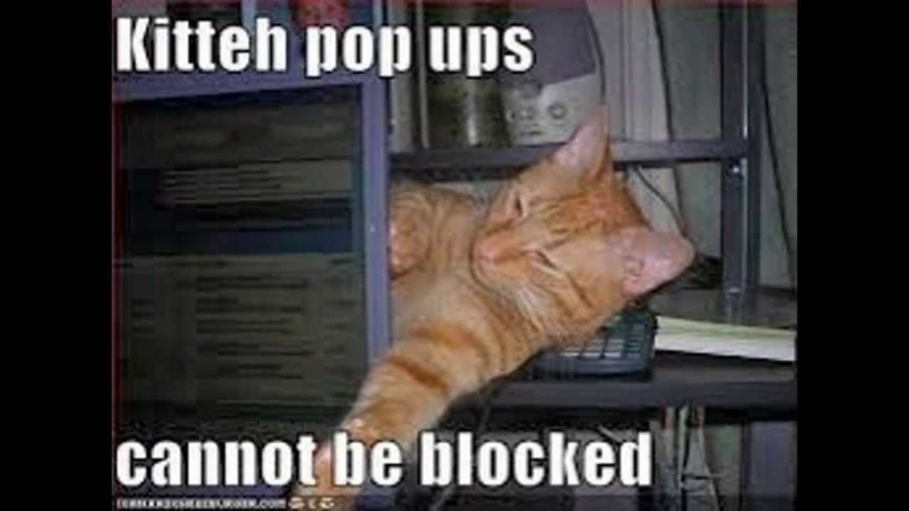 Kitty If You Laugh You Lose III 3 Btw D YouTube