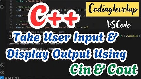 User input and Store Variable in C++ | Cout and Cin in C++