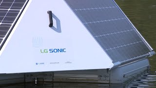 Using ultrasonic waves to control harmful algal blooms
