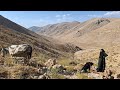 The Nomadic Life Of Iran Maryam And The Leopard Travel To The Mountains To Graze The Sheep 
