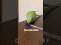 نظر نازنین درباره درس و مشق