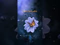 تكبيرات العيد 4 
